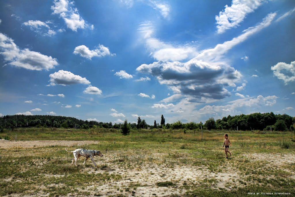 Соснівка з panoramio.com - Sosnivka