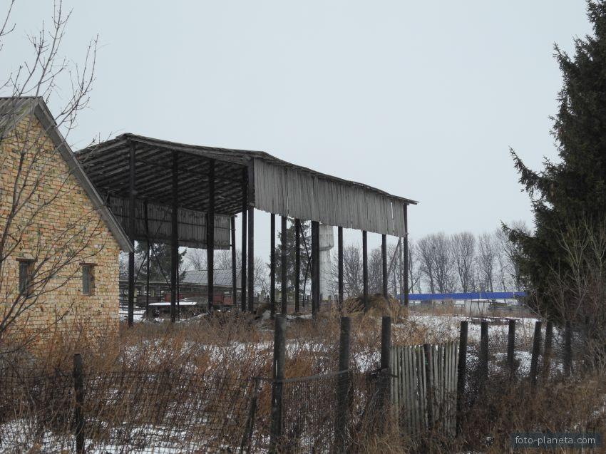 Війтівці з panoramio.com - Войтовцы