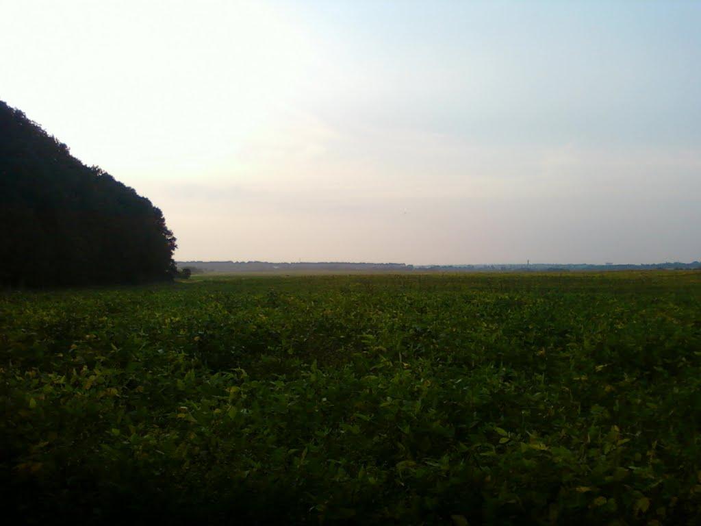 Сальник з panoramio.com - Сальник