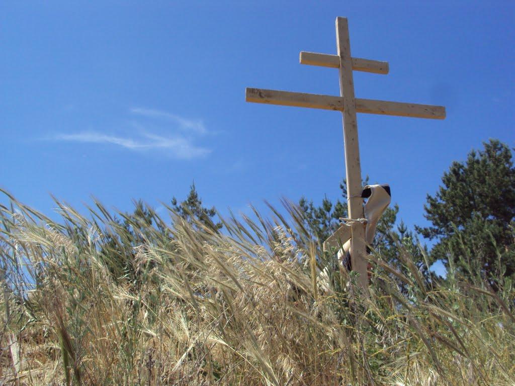 Кочеток з panoramio.com - Кочеток