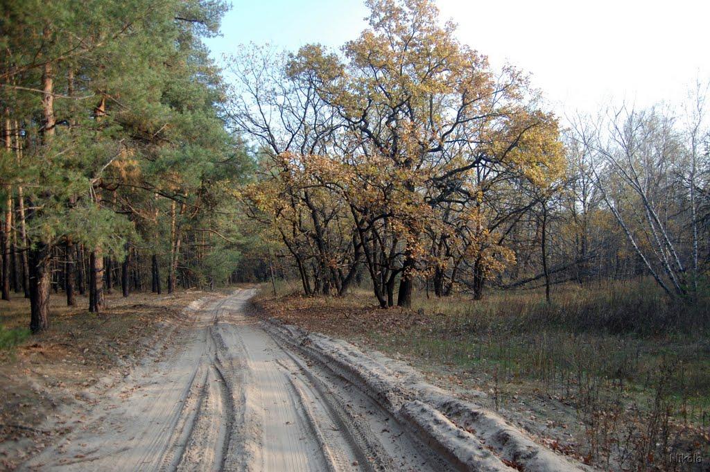 Осколонівка з panoramio.com - Осколонівка
