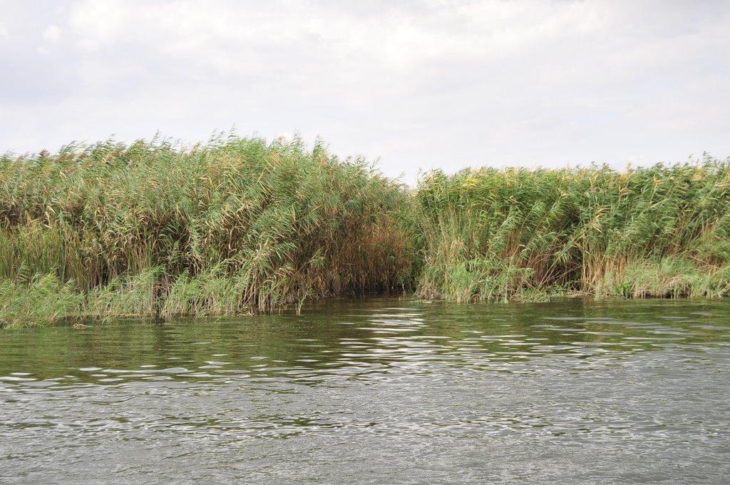 Велетенске з panoramio.com - Велетенске