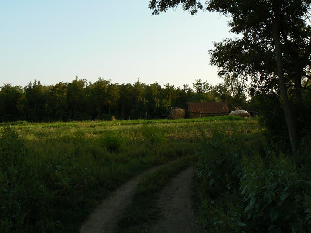 Куйбишеве з panoramio.com - Куйбышево