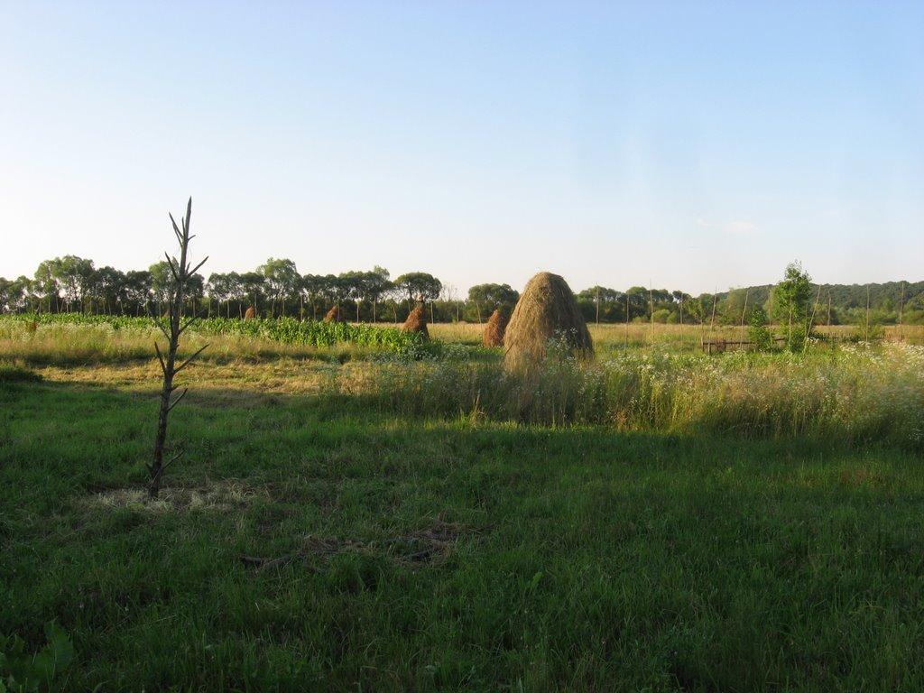 Сулятичі з panoramio.com - Sulyatychi