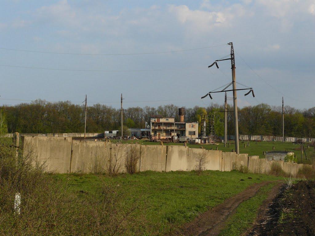 Старий Салтів з panoramio.com - Старий Салтів