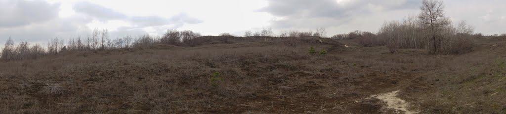 Кряківка з panoramio.com - Кряковка