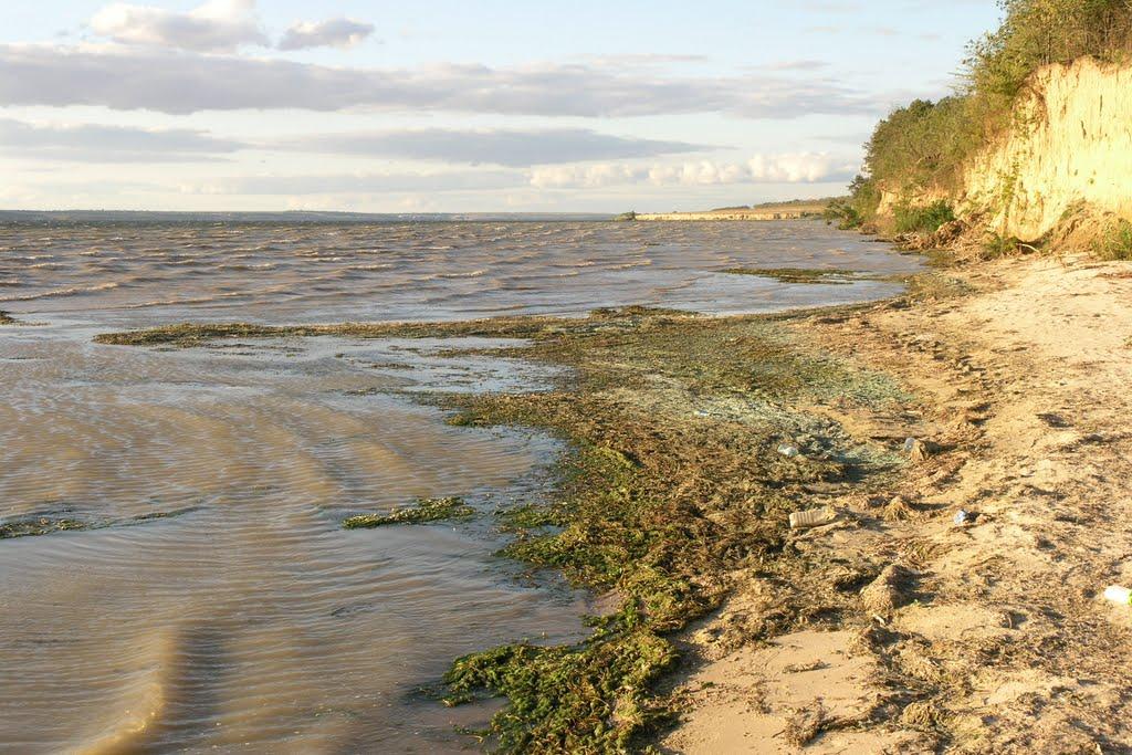 Василівка з panoramio.com - Василівка