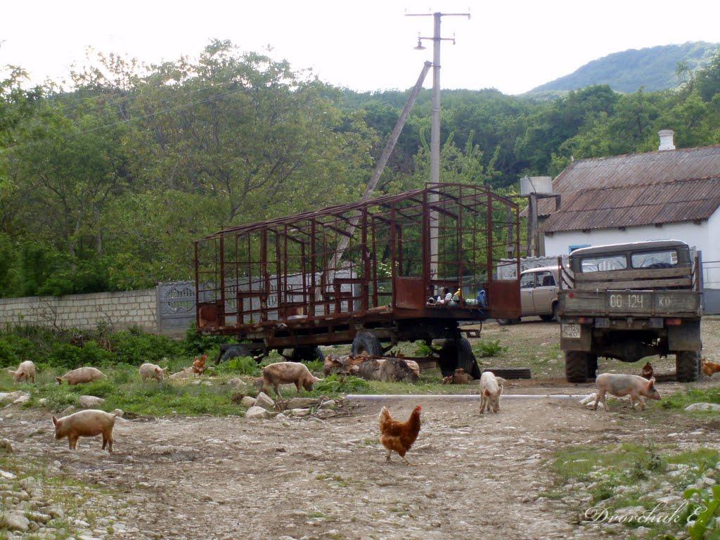 Поворотне з panoramio.com - Поворотное