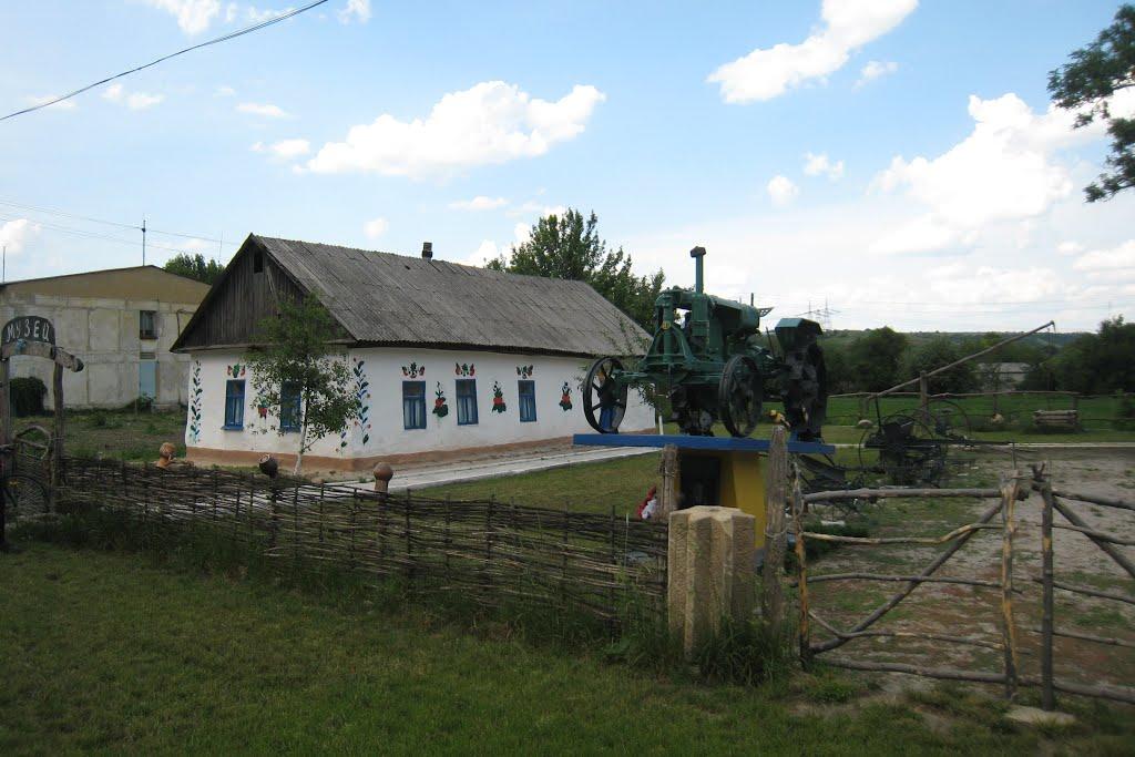 Олександро-Калинове з panoramio.com - Олександро-Калинове