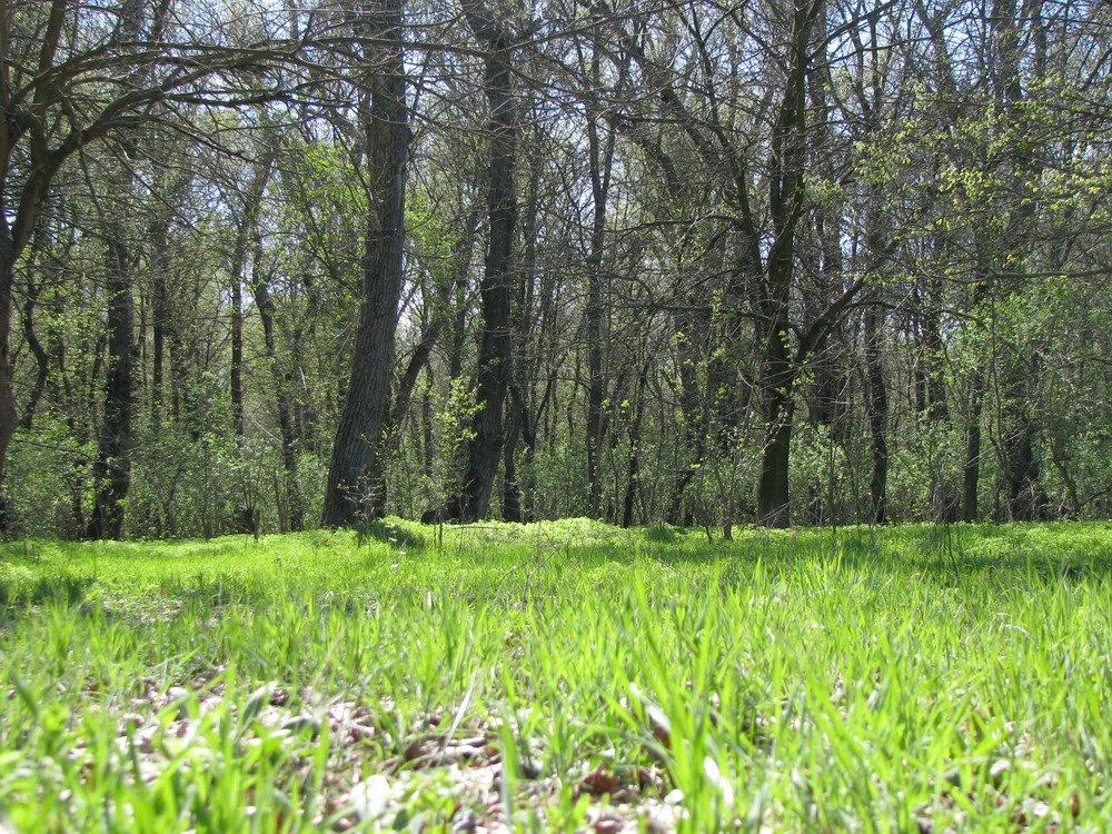 Червоногригорівка з panoramio.com - Червоногригоровка