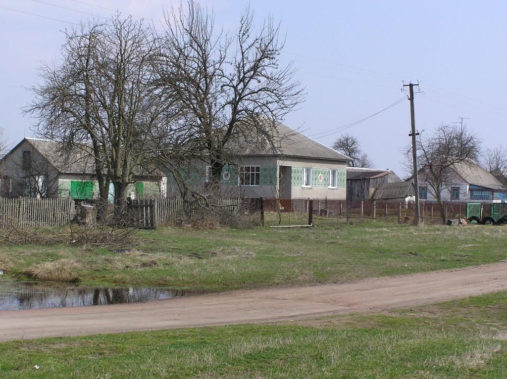 Горщик з panoramio.com - Горщик