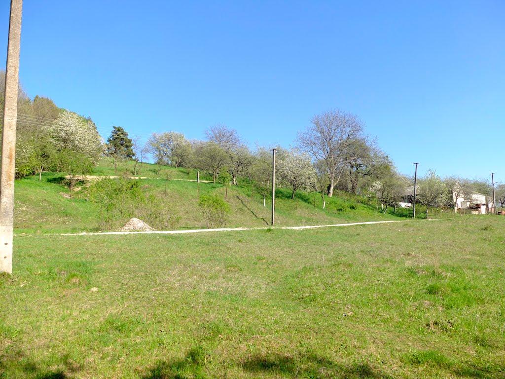 Старе Село з panoramio.com - Старое Село