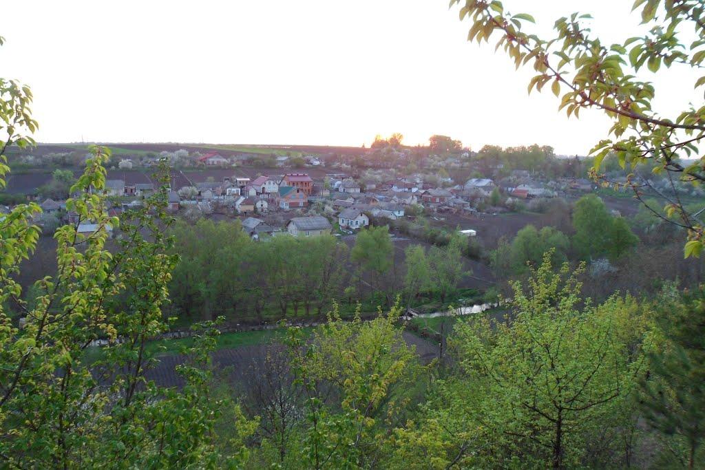 Ворвулинці з panoramio.com - Ворвулинцы