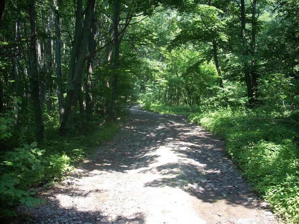 Ворочово з panoramio.com - Ворочово