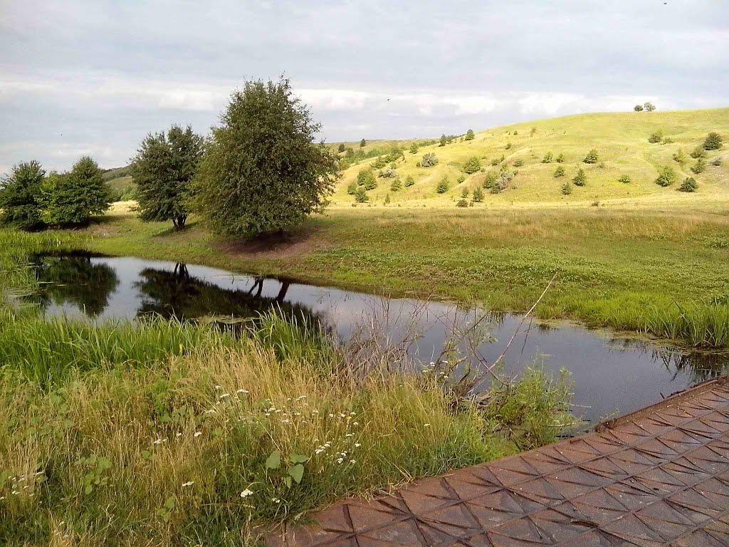 Устивиця з panoramio.com - Устивица