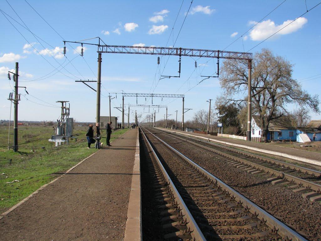Нові Шомполи з panoramio.com - Нові Шомполи