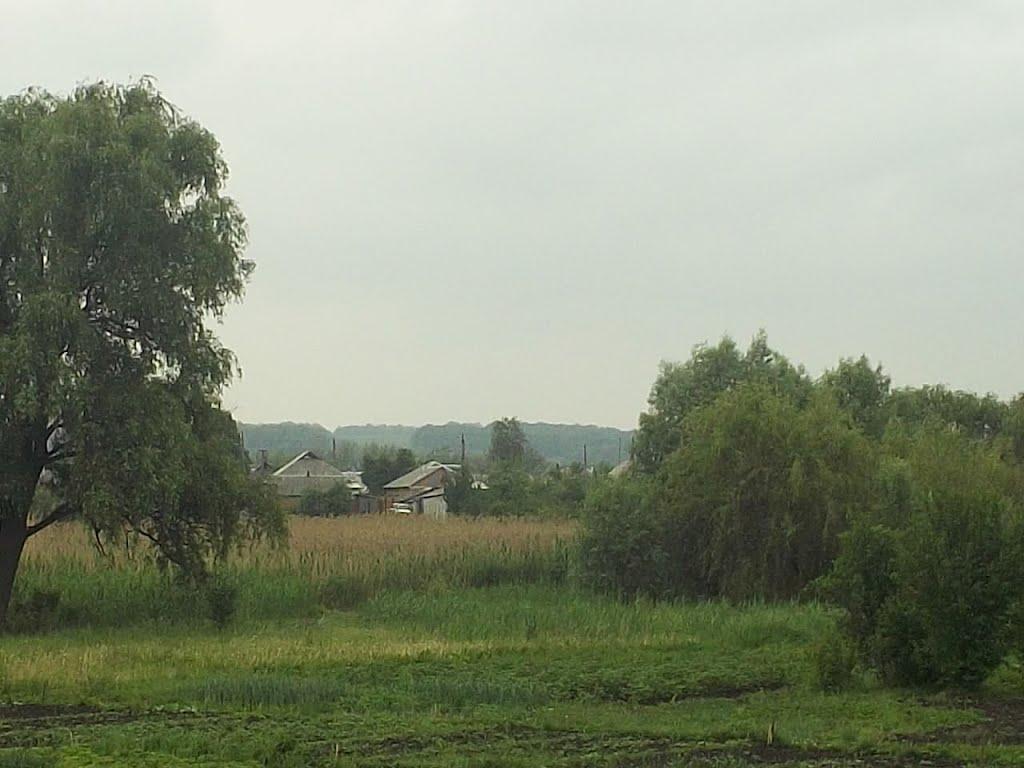 Дергачі з panoramio.com - Дергачи