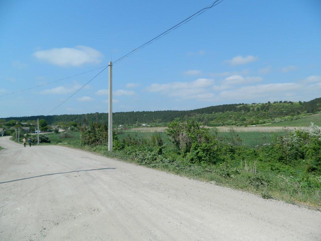 Дубове з panoramio.com - Дубовое