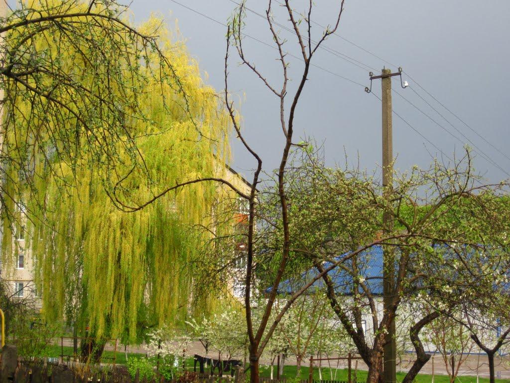 Горохів з panoramio.com - Горохів