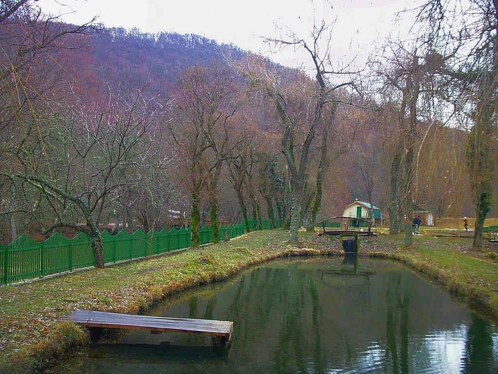 Розовий з panoramio.com (ч.2) - Розовий