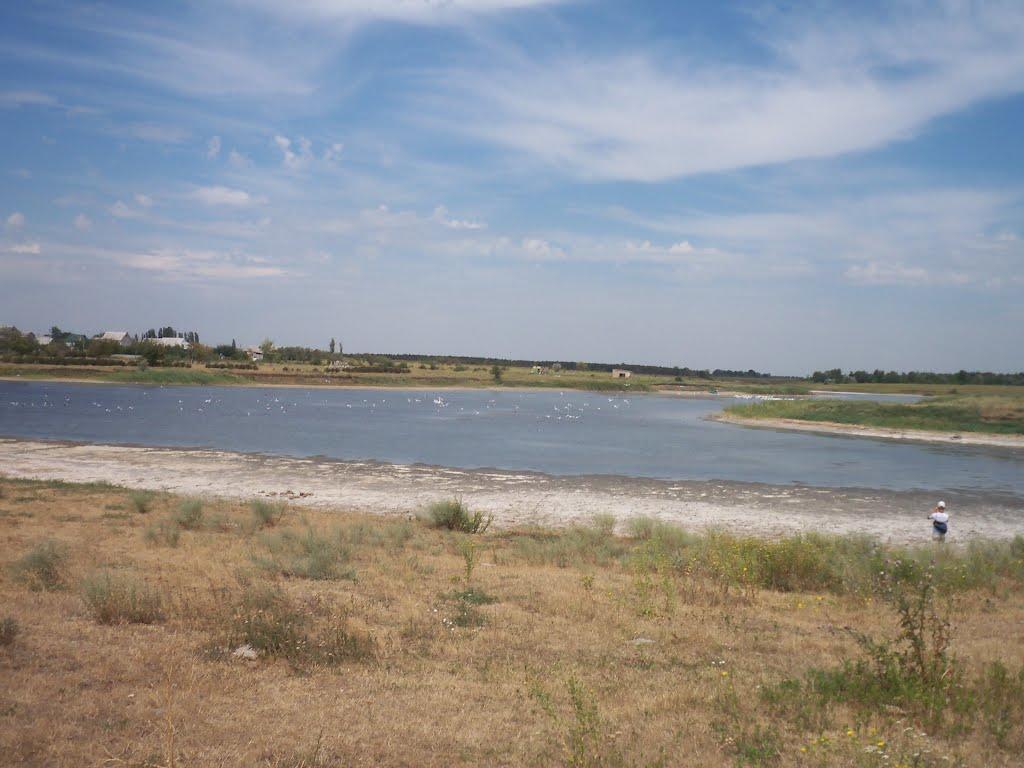 Баштанка з panoramio.com - Баштанка