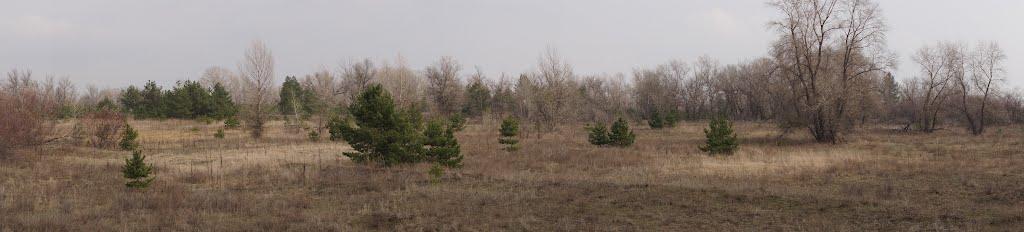 Кряківка з panoramio.com - Кряковка