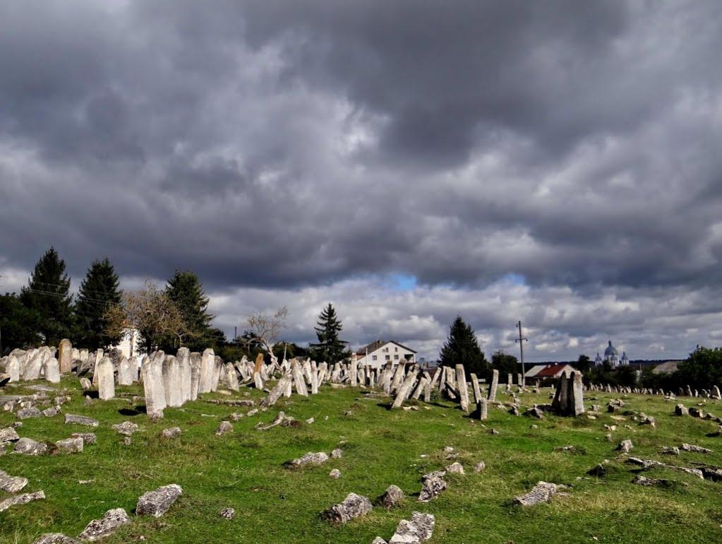 Підгайці з panoramio.com - Підгайці