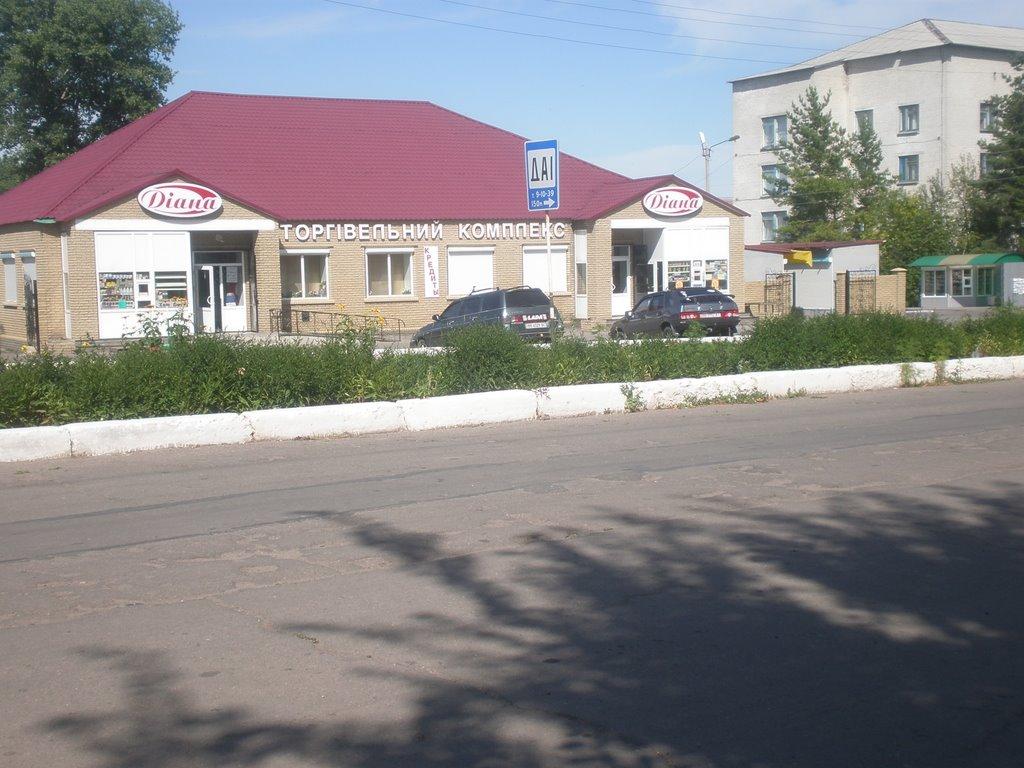 Троїцьке з panoramio.com - Троїцьке