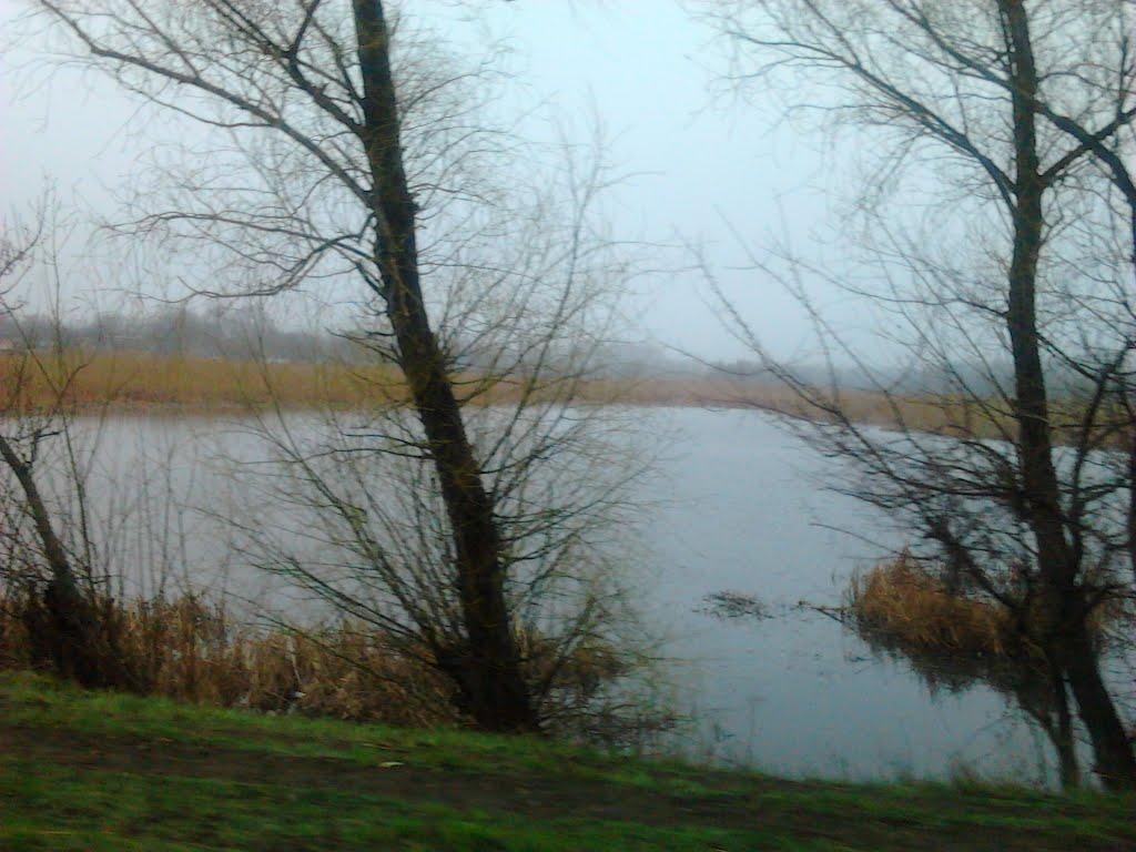 Федіївка з panoramio.com - Федіївка