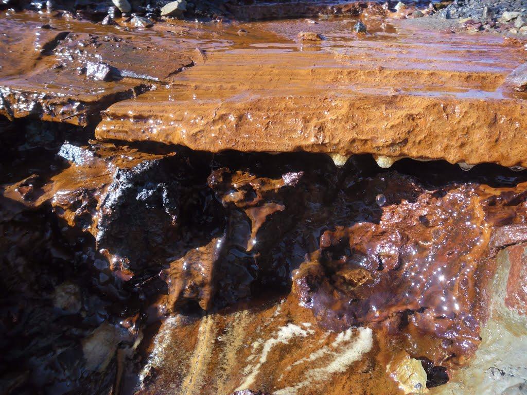 Старуня з panoramio.com - Старуня