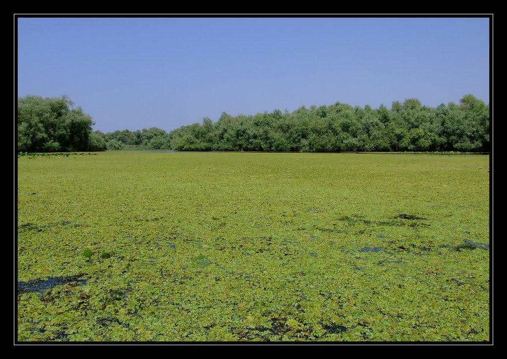 Дунайське з panoramio.com (ч.2) - Dunayske