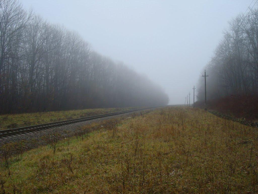 Соколівка з panoramio.com - Соколівка