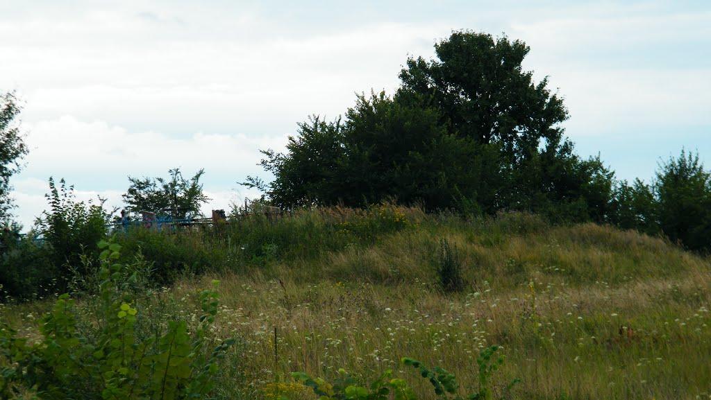 Харченки з panoramio.com - Харченки