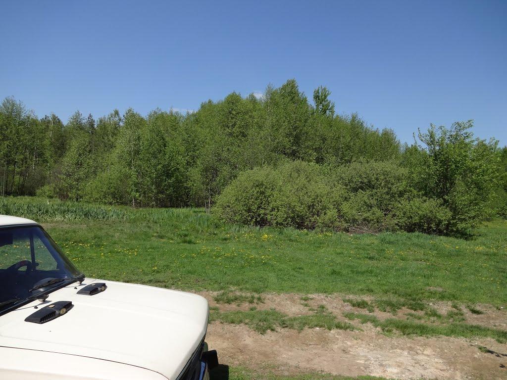 Курганці з panoramio.com - Курганцы