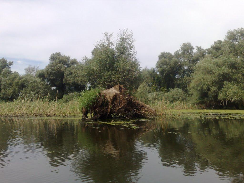 Дунайське з panoramio.com (ч.2) - Дунайское