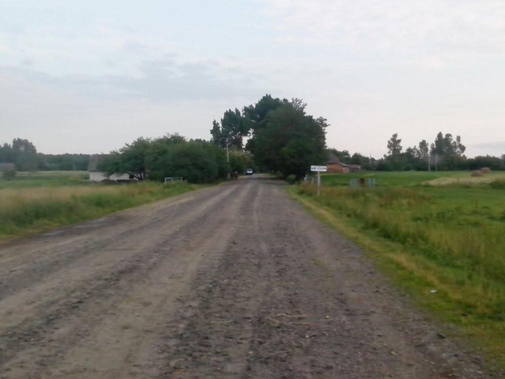 Нові Кошари з panoramio.com - Нові Кошари