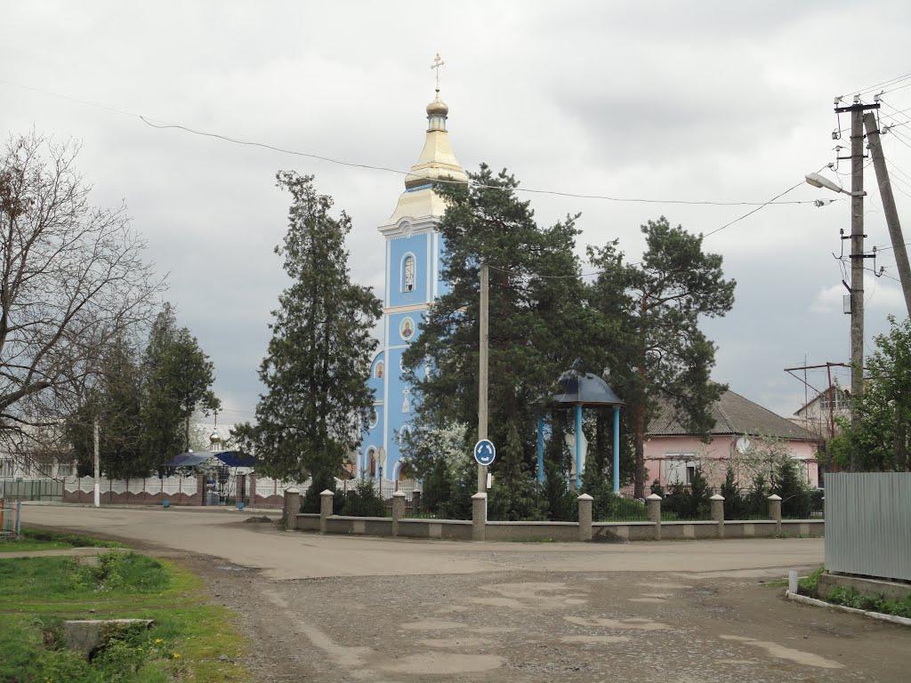 Тросник з panoramio.com - Тросник