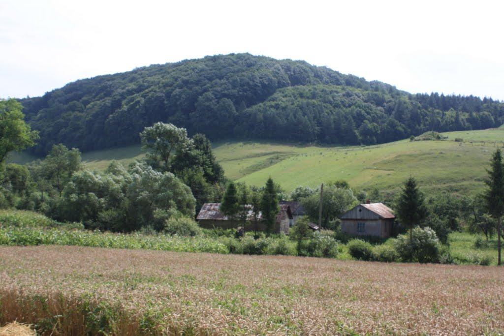 Рекшин з panoramio.com - Рекшин