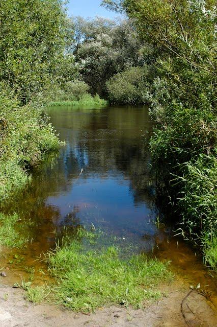 Новоугрузьке з panoramio.com - Novougruzke