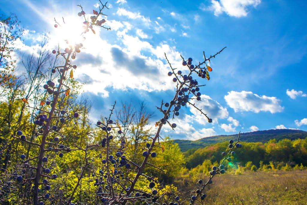 Поворотне з panoramio.com