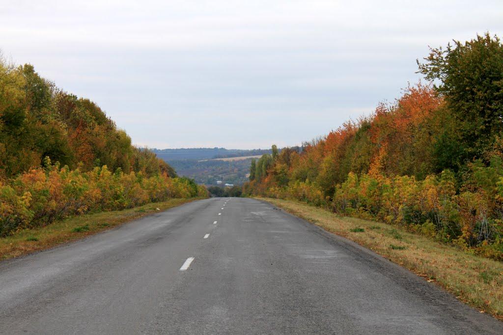 Жабокричка з panoramio.com - Жабокричка