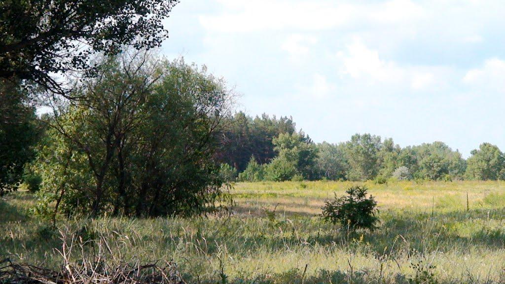 Могилів з panoramio.com - Могилев