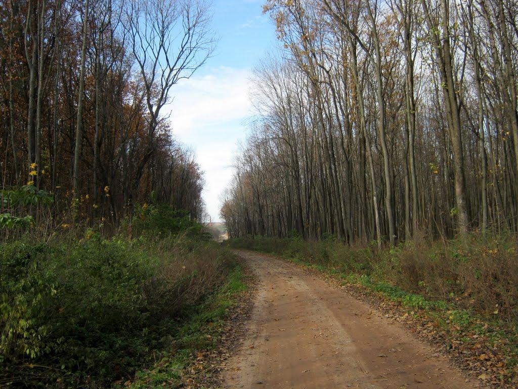 Кияниця з panoramio.com - Кияниця