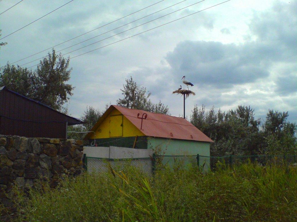 Білосарайська Коса з panoramio.com - Белосарайская Коса