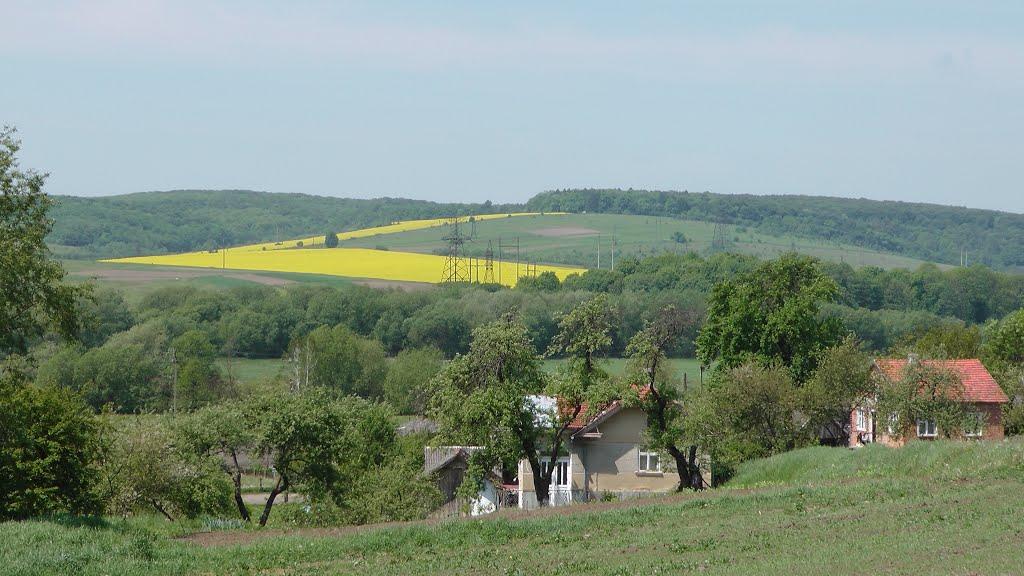 Дроховичі з panoramio.com - Drokhovychi