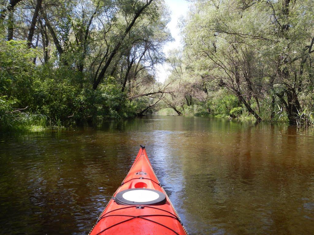 Кушугум з panoramio.com - Кушугум