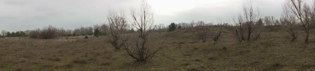 Кряківка з panoramio.com - Кряковка