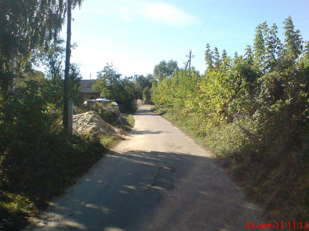 Новоселиця з panoramio.com - Новоселиця