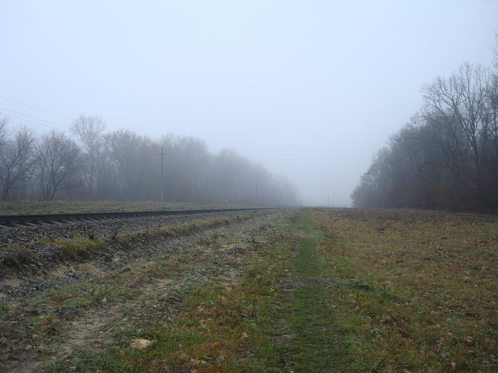 Томашівка з panoramio.com - Томашівка