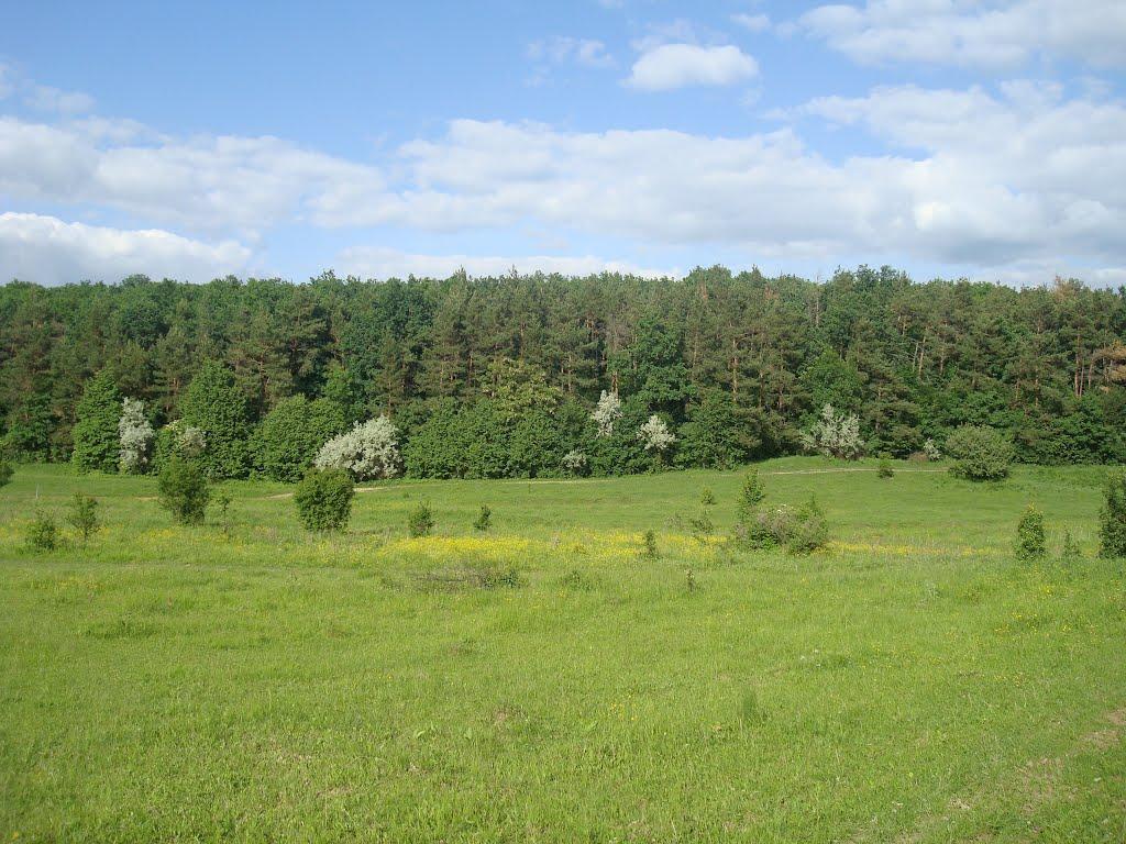 Мала Стружка з panoramio.com - Мала Стружка